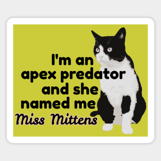 Miss Mittens Magnet